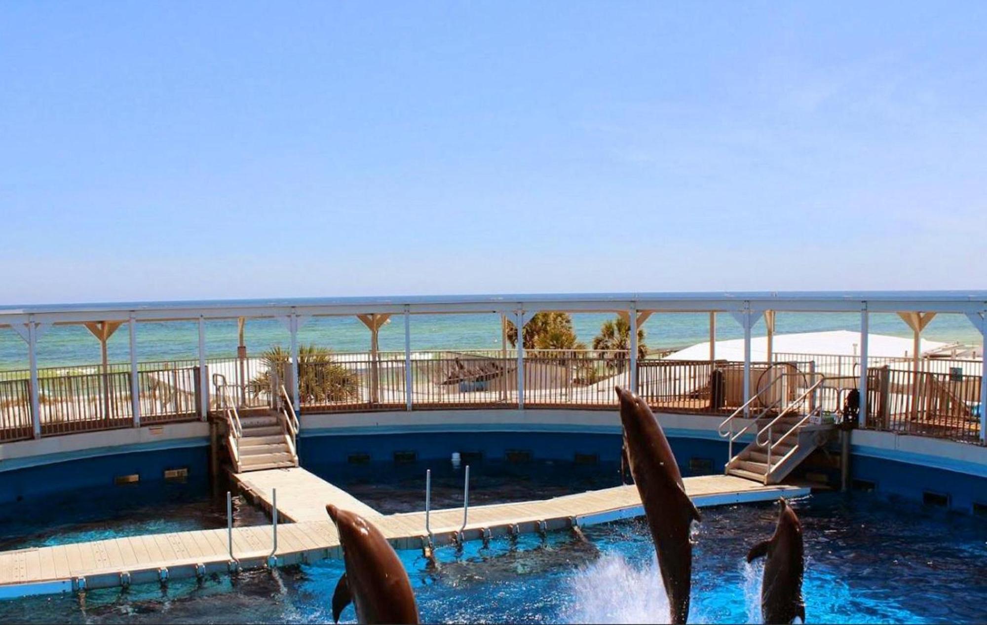 Island Sands 206 ฟอร์ตวัลตันบีช ภายนอก รูปภาพ